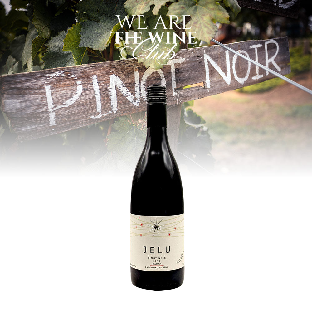 Jelu Pinot Noir Neuquen Patagonia 750ml