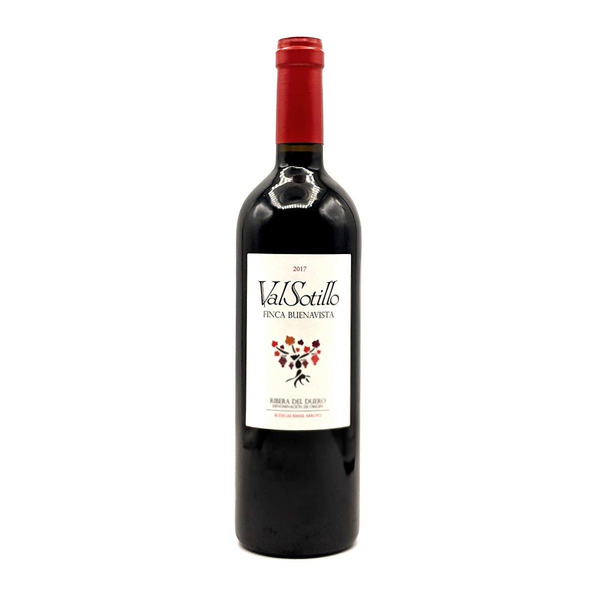 Valsotillo Finca Buenavista 750ml - We are the Wine